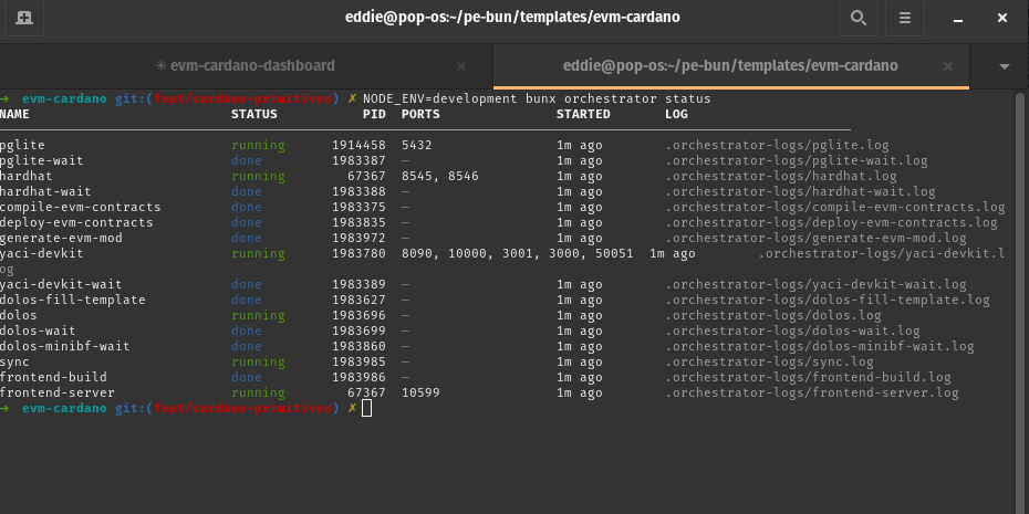 Local development orchestrator showing Hardhat, YACI DevKit, and Dolos running together