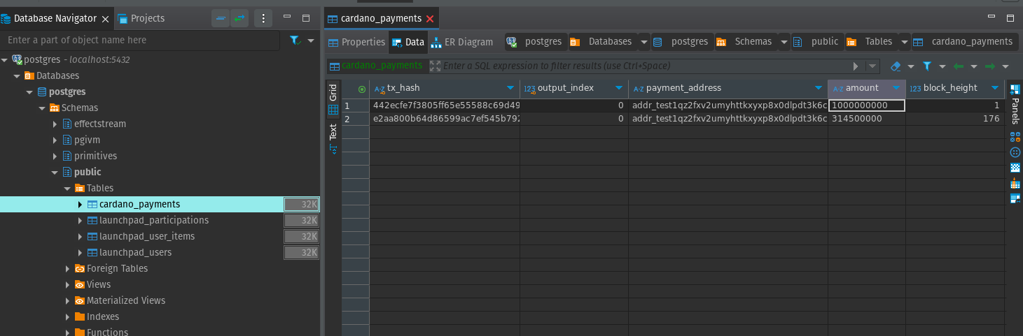 Database: cardano_payments table showing tx hashes, amounts, and block heights
